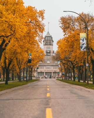 Assiniboine Park in the fall